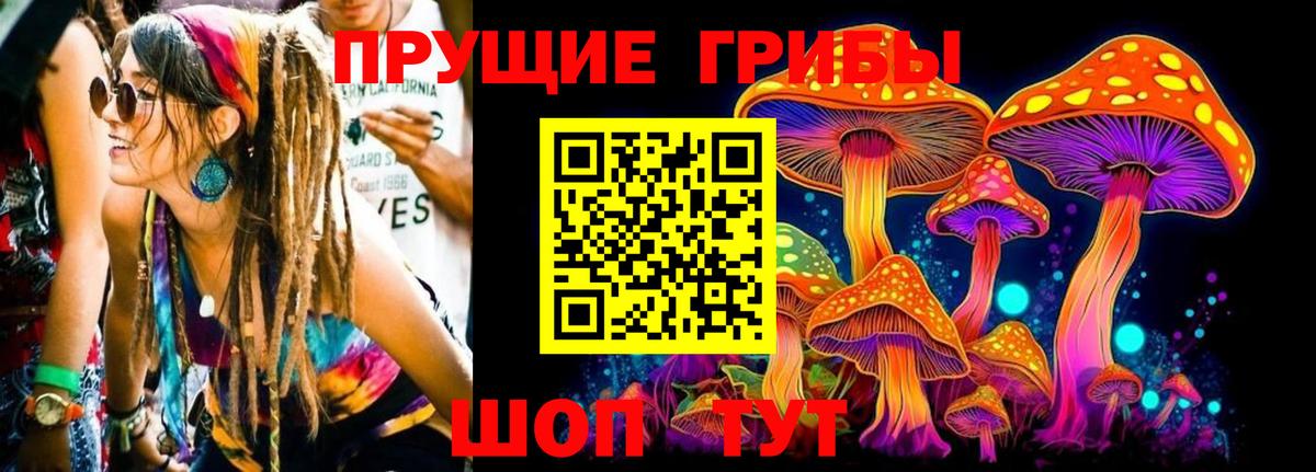 Галлюциногенные грибы прущие грибы Орехово-Зуево